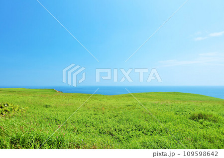 北海道　夏の青空と草原　そして海 109598642