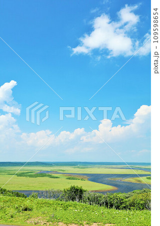 北海道　夏の青空と霧多布湿原 109598654