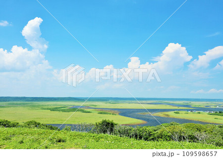 北海道　夏の青空と霧多布湿原 109598657