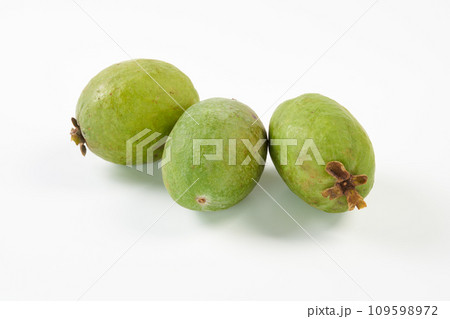 フェイジョア 白バック フェイジョア 白バック 109598972