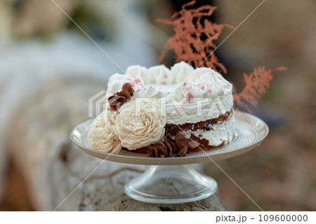 wedding autumn cake on the tree and wedding couple on the background 109600000