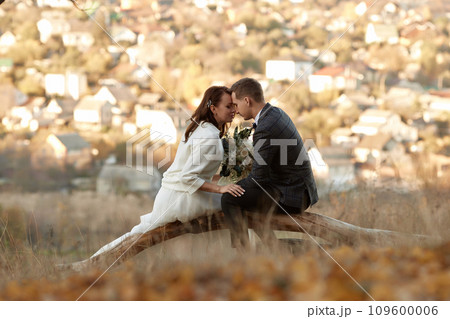 bride in white wedding dress and groom are sitting and kissing on tree in nature 109600006
