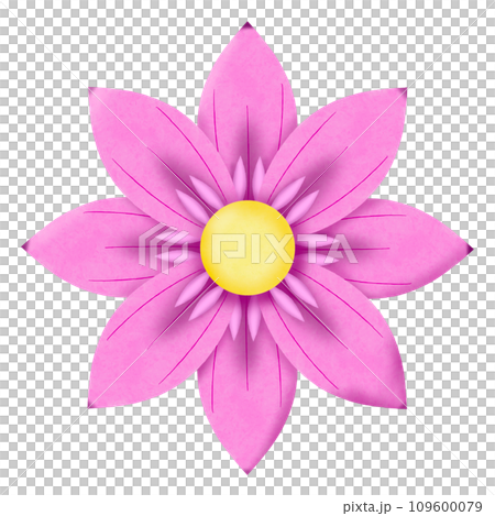 pink water lily pink water lily 109600079