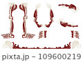 骨と筋のフレーム(文字なし・背景透過) 109600219