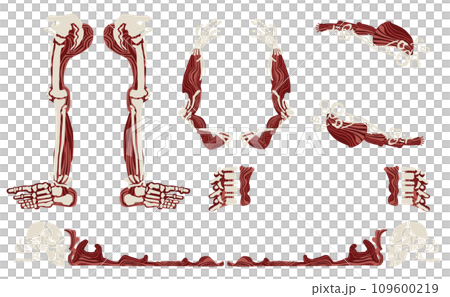 骨と筋のフレーム(文字なし・背景透過) 109600219