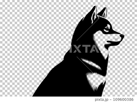 柴犬のシルエット 柴犬のシルエット 109600386
