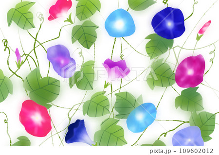 朝顔の花のカード7 109602012