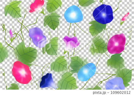 朝顔の花のカード7 109602012