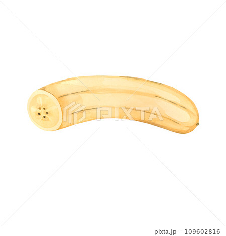Watercolor illustration. A ripe banana without peel, a piece of banana, a circle of fruit. All elements are hand-painted in watercolor. For printing on fabric and paper, for kitchens, textiles. Watercolor illustration. A ripe banana without peel, a piece of banana, a circle of fruit. All elements are hand-painted in watercolor. For printing on fabric and paper, for kitchens, textiles. 109602816