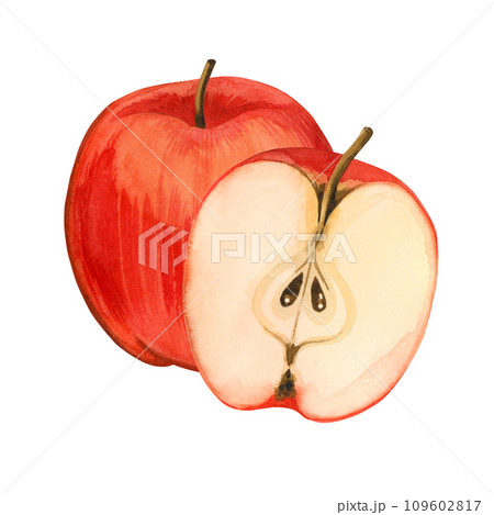 Watercolor composition. A whole red apple and a half apple, hand-painted in watercolor. Suitable for printing on fabric and paper, for the design of kitchen utensils, dishes, textiles. Watercolor composition. A whole red apple and a half apple, hand-painted in watercolor. Suitable for printing on fabric and paper, for the design of kitchen utensils, dishes, textiles. 109602817