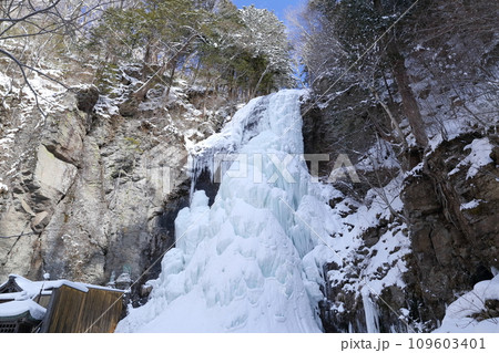 真冬の氷瀑（清滝　長野県 大滝村） 109603401