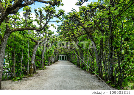 Treillagen Pavilion in the park of Historical Hermitage at Bayreuth, Bavaria, Germany Treillagen Pavilion in the park of Historical Hermitage at Bayreuth, Bavaria, Germany 109603815
