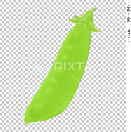 雪豆手繪風格插畫 109603845