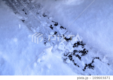 雪道のスタットレスタイヤの踏み後 109603871
