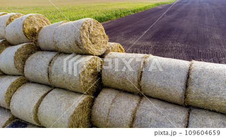Many bales of straw in the field. Many bales rolls of wheat straw stacked together in field after harvest on summer day. Agricultural agro-industrial agrarian field. agribusiness. Aerial drone view. 109604659