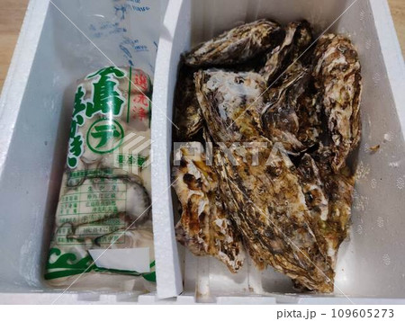 新鮮な牡蠣 109605273