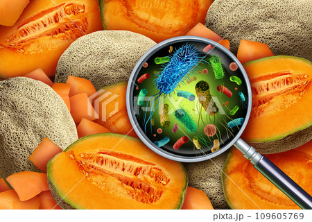 Cantaloup Bacteria Contamination Cantaloup Bacteria Contamination 109605769