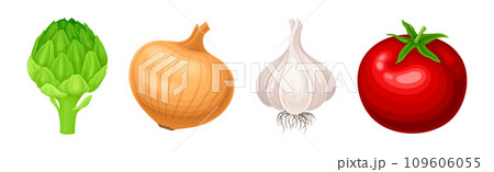 Fresh and Ripe Vegetables Harvest with Organic Crop Vector Set 109606055