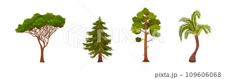 Green Trees with Lush Crown and Trunk Vector Set 109606068