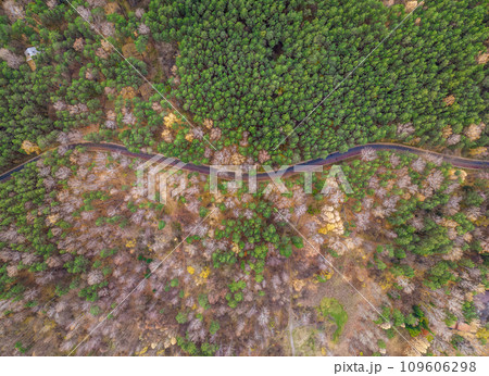 Aerial view of road in beautiful autumn forest at sunset. Beautiful landscape with empty rural road, trees with red and orange leaves. Aerial view of road in beautiful autumn forest at sunset. Beautiful landscape with empty rural road, trees with red and orange leaves. 109606298