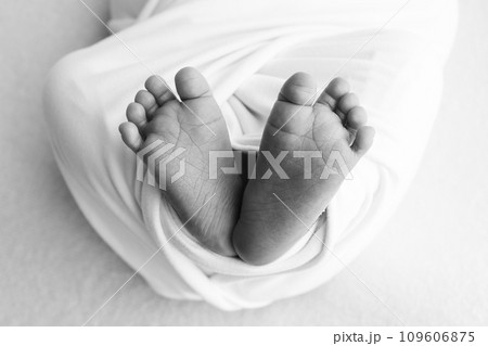 The tiny foot of a newborn baby. Soft feet of a new born in a wool blanket. Close up of toes, heels and feet of a newborn. Macro photography. Black and white The tiny foot of a newborn baby. Soft feet of a new born in a wool blanket. Close up of toes, heels and feet of a newborn. Macro photography. Black and white 109606875
