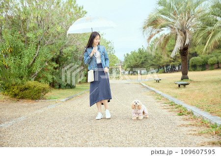 雨の中の公園で愛犬と散歩する女性 雨の中の公園で愛犬と散歩する女性 109607595