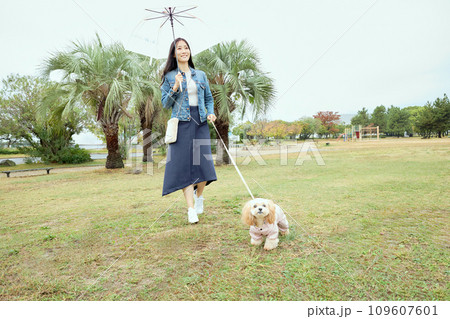 雨の中の公園で愛犬と散歩する女性 109607601