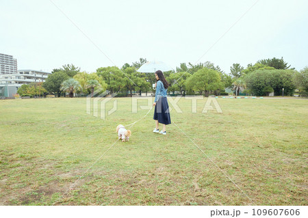 雨の中の公園で愛犬と散歩する女性 雨の中の公園で愛犬と散歩する女性 109607606