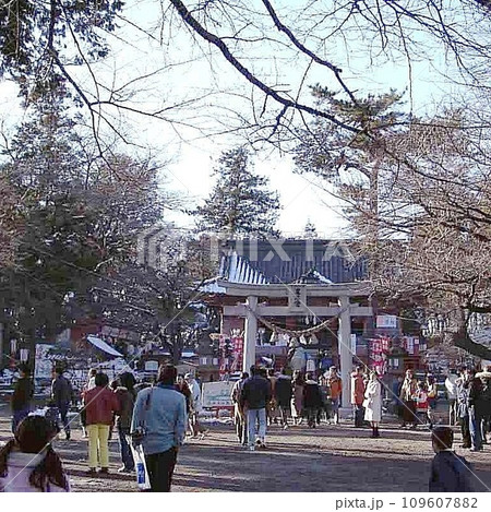 世良田東照宮で初詣 ｢風景の記憶 (2003.1)｣ 午後には雪も溶けて参拝客の姿が境内に 109607882