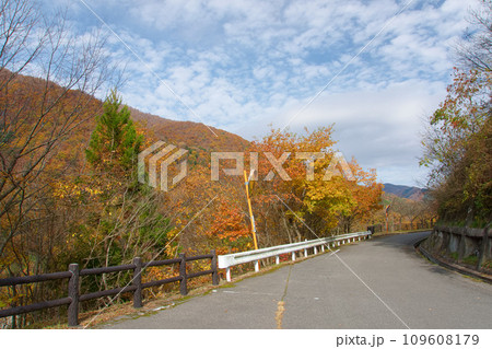 秋の紅葉深まる姉川ダムの道 109608179