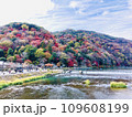 京都嵐山の紅葉 109608199
