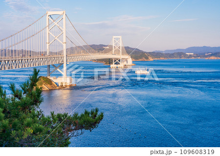 （徳島県）大鳴門橋とうずしお観潮船 109608319