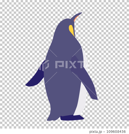 見上げる後ろ姿のペンギンのイラスト 見上げる後ろ姿のペンギンのイラスト 109608436