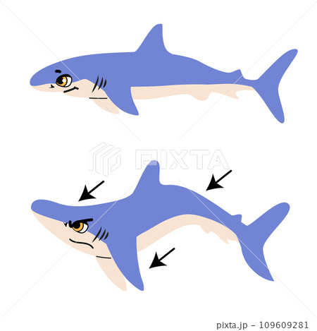 Infographic Of Attack Blue Shark Vector Illustration Infographic Of Attack Blue Shark Vector Illustration 109609281