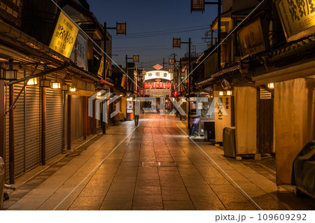 《東京都》柴又帝釈天参道・昭和レトロな街並みの夜景 109609292