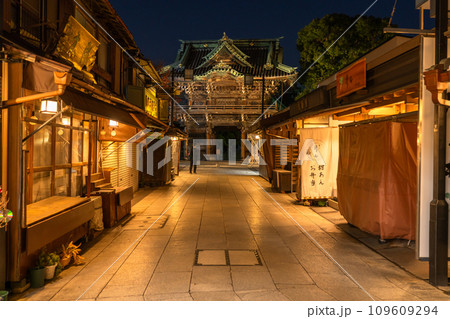 《東京都》柴又帝釈天参道・昭和レトロな街並みの夜景 109609294