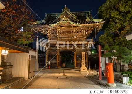 《東京都》柴又帝釈天参道・昭和レトロな街並みの夜景 109609296