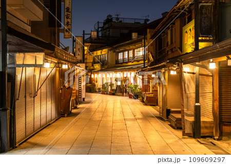 《東京都》柴又帝釈天参道・昭和レトロな街並みの夜景 109609297