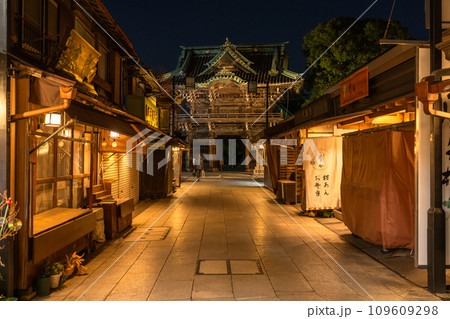 《東京都》柴又帝釈天参道・昭和レトロな街並みの夜景 109609298
