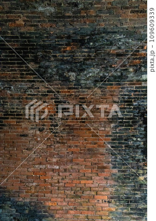 愛岐トンネル群のレンガの壁 愛岐トンネル群のレンガの壁 109609339