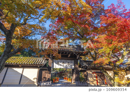 秋の京都　紅葉に包まれた今宮神社の東門 109609354