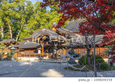 秋の京都　紅葉に包まれた今宮神社の本殿 109609359