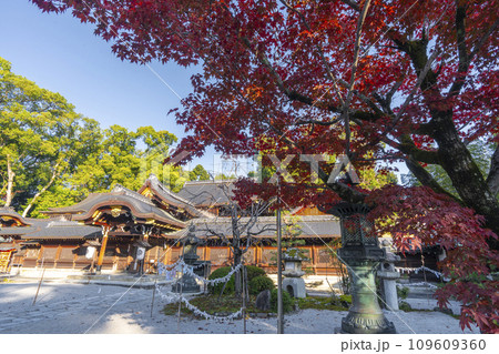 秋の京都 紅葉に包まれた今宮神社の本殿 秋の京都 紅葉に包まれた今宮神社の本殿 109609360