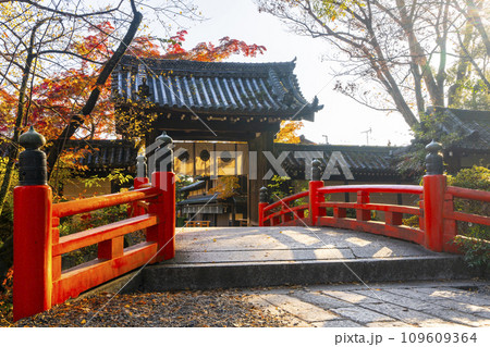 秋の京都　今宮神社　東門と赤い橋の神橋 109609364