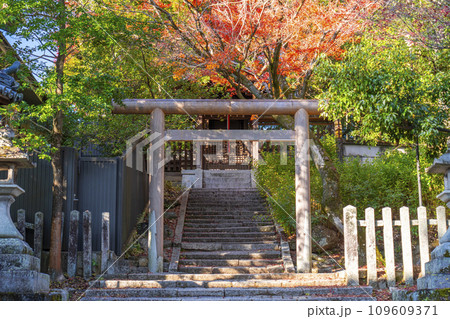 秋の京都　今宮神社　紅葉に包まれた月読社 109609371