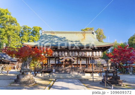秋の京都 紅葉が美しい今宮神社 拝殿と本殿 秋の京都 紅葉が美しい今宮神社 拝殿と本殿 109609372