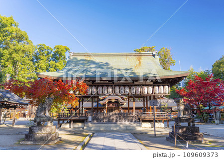 秋の京都 紅葉が美しい今宮神社 拝殿と本殿 秋の京都 紅葉が美しい今宮神社 拝殿と本殿 109609373