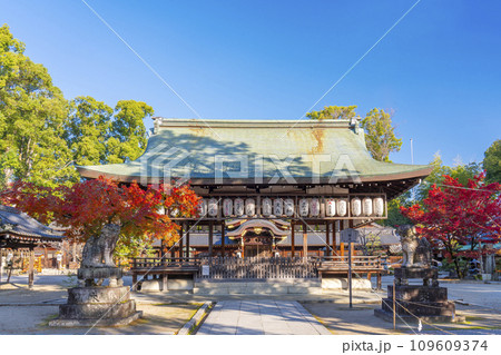 秋の京都　紅葉が美しい今宮神社　拝殿と本殿 109609374