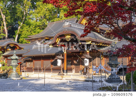 秋の京都　紅葉に包まれた今宮神社の本殿 109609376