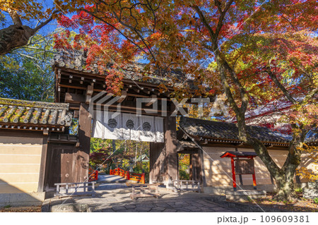 秋の京都　紅葉に包まれた今宮神社の東門 109609381